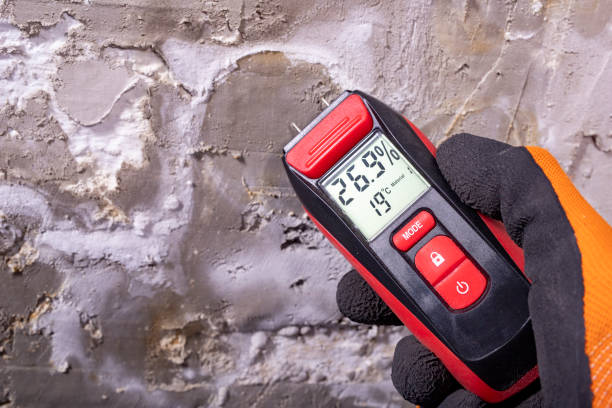 Best Insurance-Related Mold Remediation in Fayette, MO