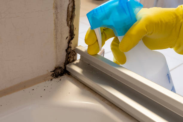 Best Crawl Space Mold Remediation in Fayette, MO