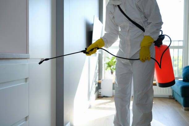 Best Basement Mold Remediation in Fayette, MO